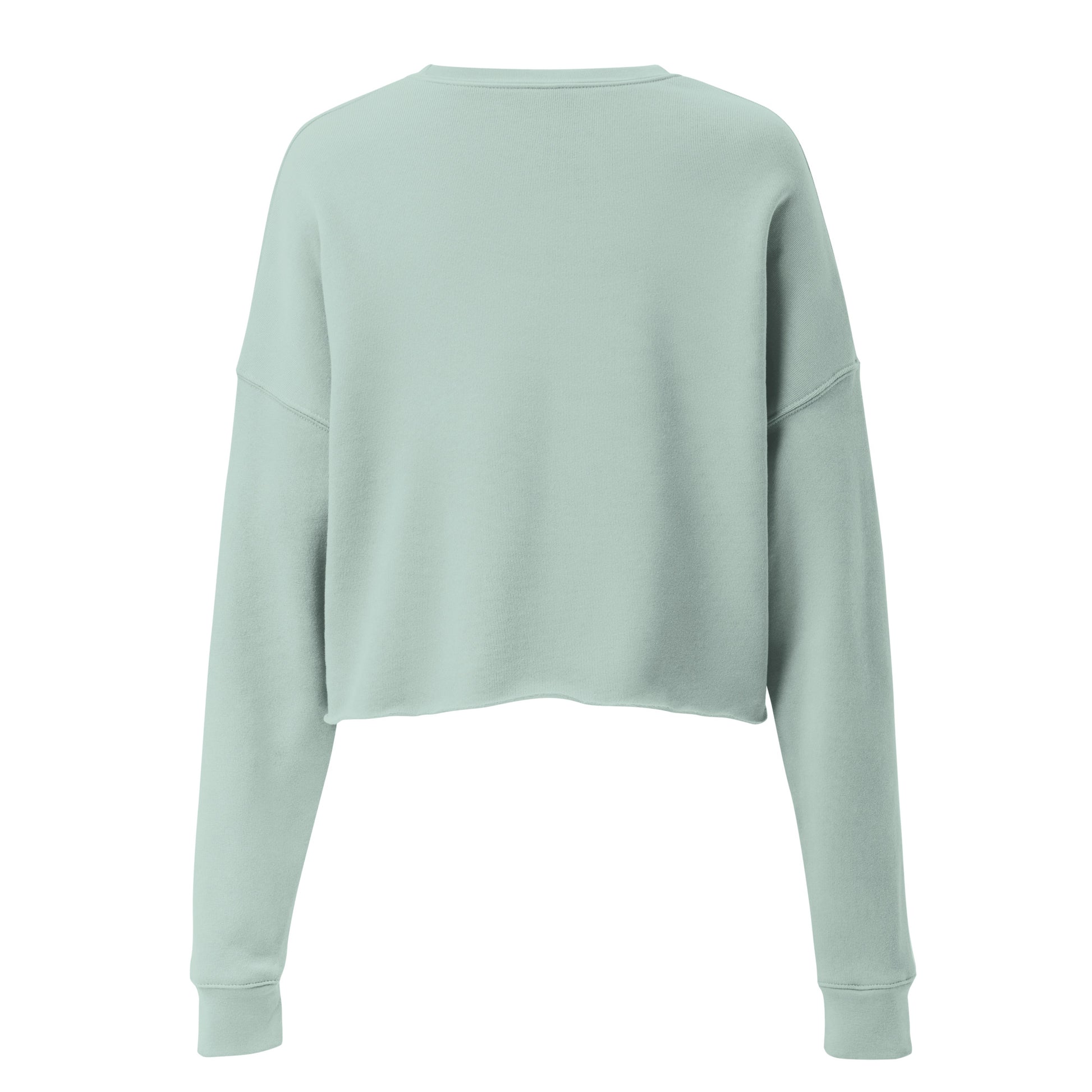 Astronaut Women's Crop Sweatshirt - Dusty Blue - FLAKOUT